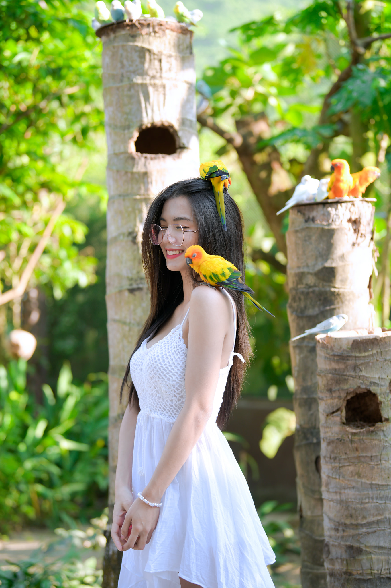 เหมยหลิน 11
