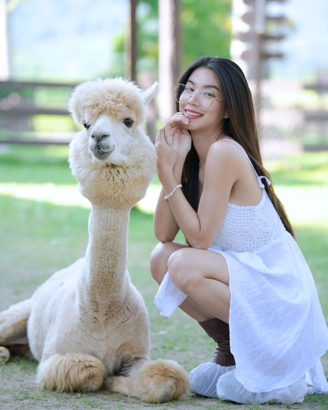 เหมยหลิน 8